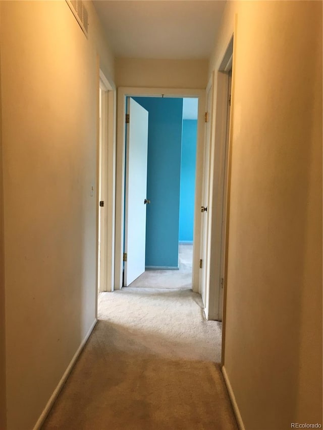 6411 W 82nd Dr, Arvada, CO 80003 - hallway with carpet and baseboards
