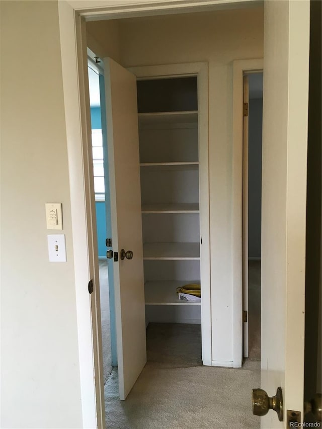6411 W 82nd Dr, Arvada, CO 80003 - view of closet