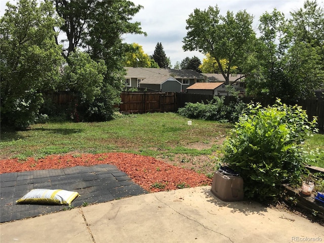 6411 W 82nd Dr, Arvada, CO 80003 - view of yard with a patio area