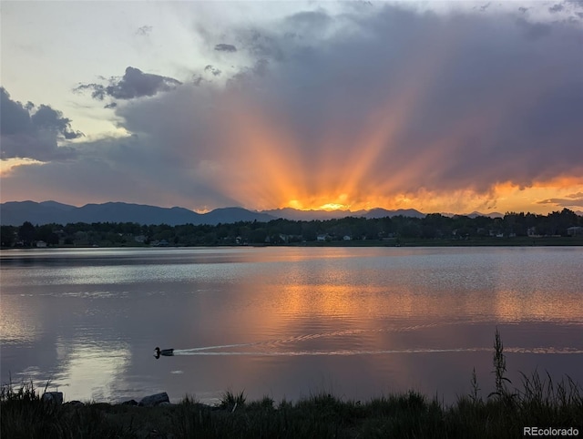 6411 W 82nd Dr, Arvada, CO 80003 - water view with a mountainous background