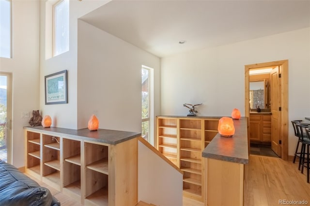 bar with light brown cabinetry and light hardwood / wood-style flooring