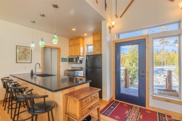 kitchen featuring sink, light hardwood / wood-style flooring, hanging light fixtures, a kitchen breakfast bar, and stainless steel appliances