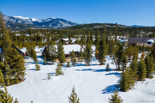 mountain view featuring a wooded view