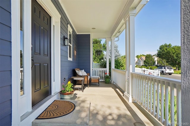4118 Arezzo Dr, Longmont, CO 80503 - photo 4