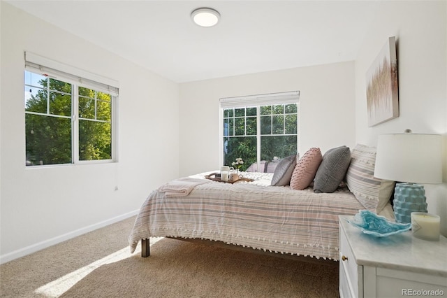 4118 Arezzo Dr, Longmont, CO 80503 - photo 24