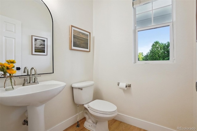 4118 Arezzo Dr, Longmont, CO 80503 - photo 30