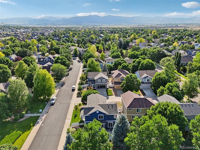 4118 Arezzo Dr, Longmont, CO 80503 - photo 46