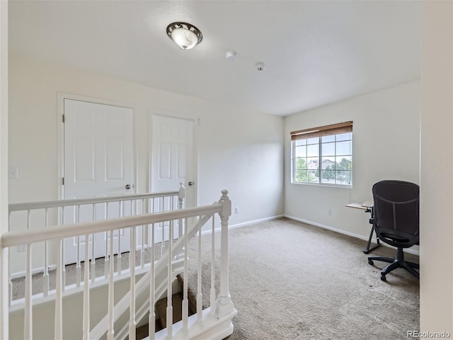 bedroom featuring carpet flooring