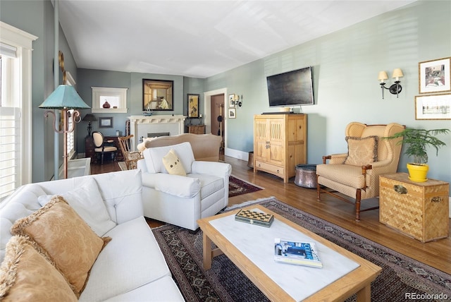 living area with a wealth of natural light, a fireplace, and wood finished floors