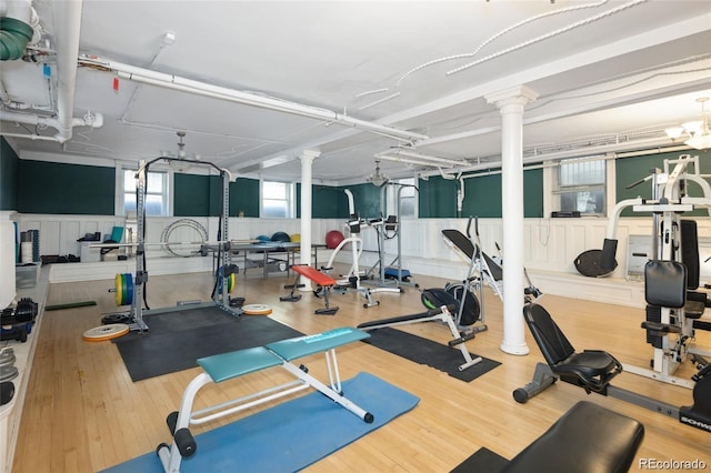 exercise room featuring a wainscoted wall and wood finished floors