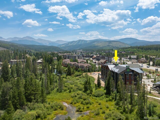 view of mountain feature featuring a forest view