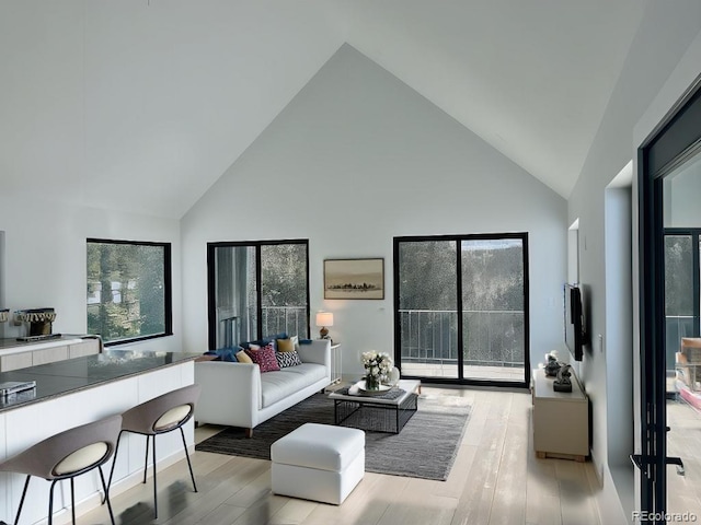 living room with light wood-type flooring and high vaulted ceiling