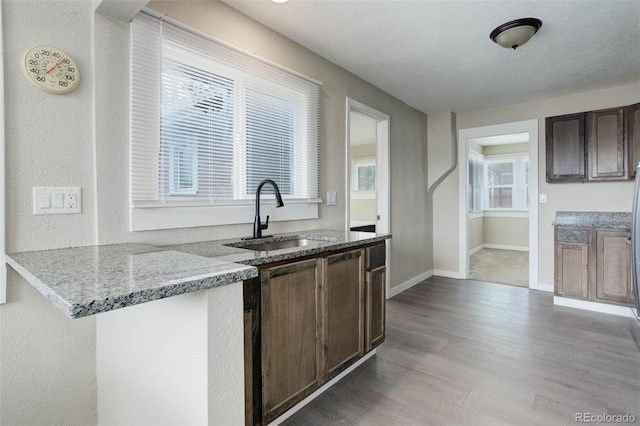 kitchen featuring light hardwood / wood-style floors, sink, plenty of natural light, and dark brown cabinets