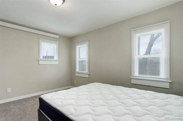 bedroom featuring carpet floors