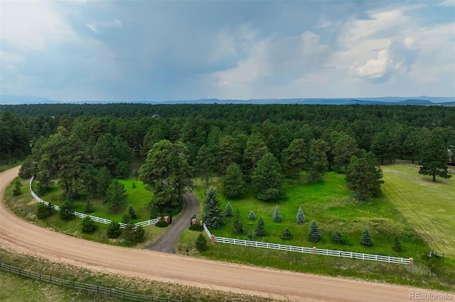 20252 Elk Creek Dr W, Colorado Springs, CO 80908 - photo 49