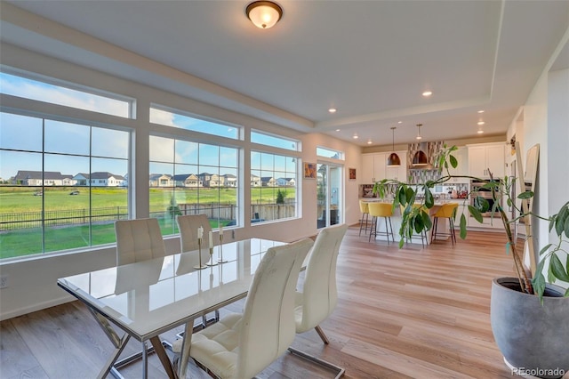 dining room featuring light wood-type flooring