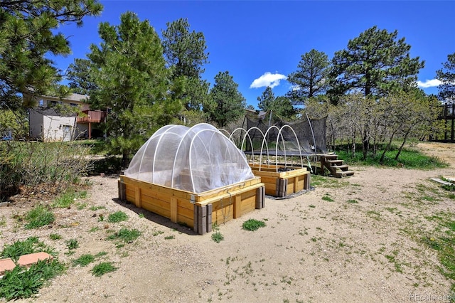 1673 Woodmoor Dr, Monument, CO 80132 - view of yard featuring a trampoline, an exterior structure, and a garage