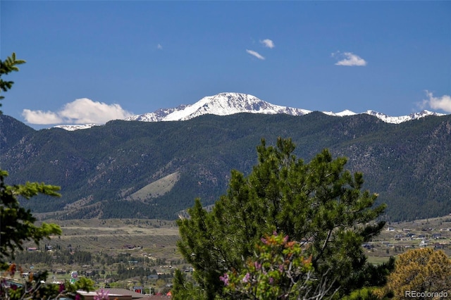 1673 Woodmoor Dr, Monument, CO 80132 - view of mountain background
