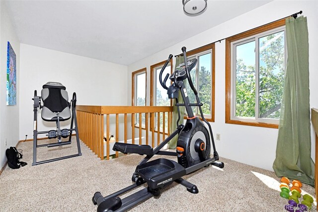 1673 Woodmoor Dr, Monument, CO 80132 - workout room with plenty of natural light and carpet