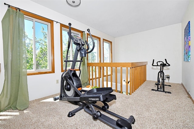 1673 Woodmoor Dr, Monument, CO 80132 - exercise area featuring carpet flooring