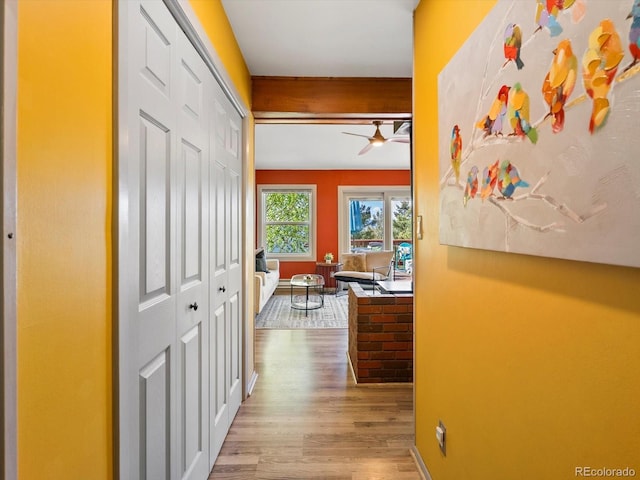 11650 Baca Rd, Conifer, CO 80433 - corridor featuring wood finished floors