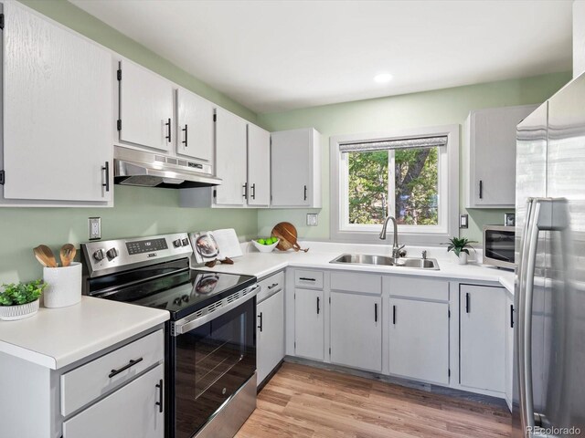 11650 Baca Rd, Conifer, CO 80433 - kitchen with under cabinet range hood, stainless steel appliances, a sink, light countertops, and light wood-type flooring