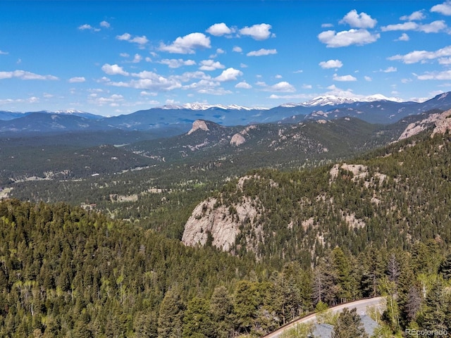 11650 Baca Rd, Conifer, CO 80433 - mountain view with a heavily wooded area