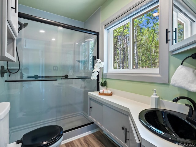 11650 Baca Rd, Conifer, CO 80433 - full bathroom with toilet, a stall shower, wood finished floors, and vanity