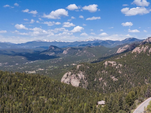 11650 Baca Rd, Conifer, CO 80433 - mountain view with a forest