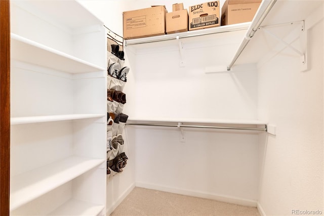 8412 S Holland Ct Unit 208, Littleton, CO 80128 - photo 21