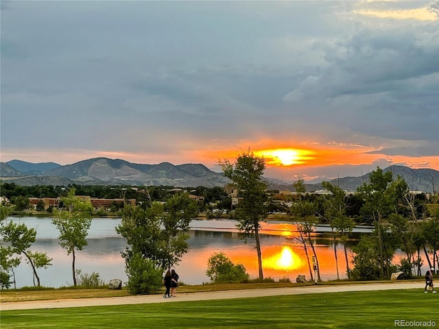 8412 S Holland Ct Unit 208, Littleton, CO 80128 - photo 49