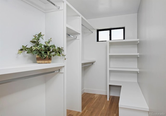 spacious closet featuring hardwood / wood-style flooring