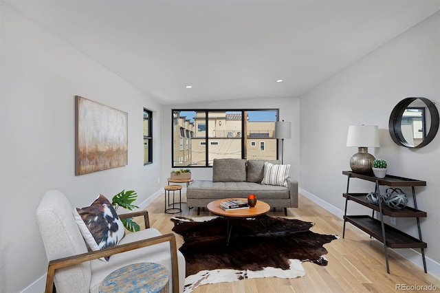 living room featuring light hardwood / wood-style flooring