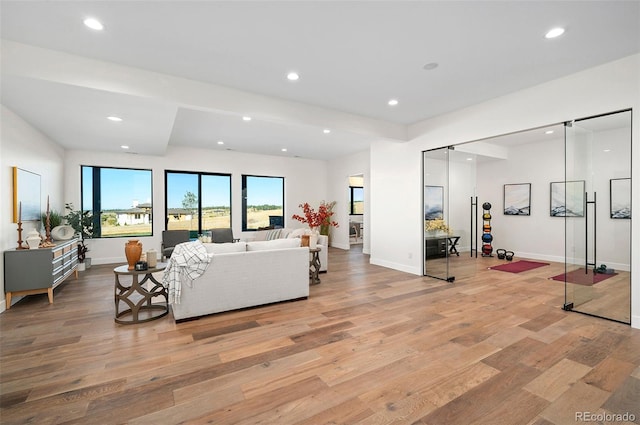 living room featuring light wood-type flooring