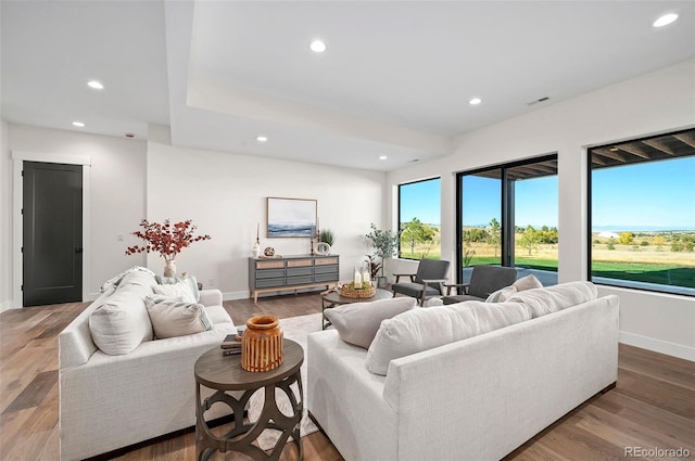 living room with wood-type flooring