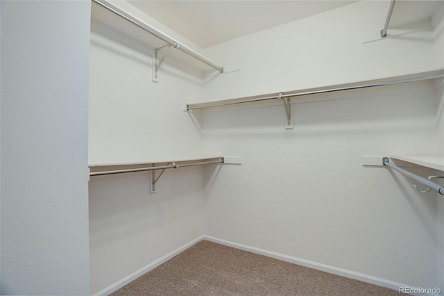 spacious closet with carpet floors