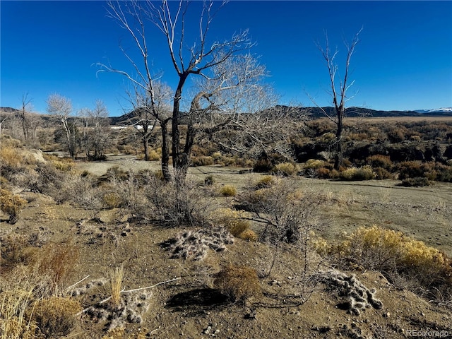 Listing photo 3 for LOT4 13th St, Blanca CO 81123