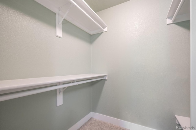 5455 E Iowa Ave, Denver, CO 80222 - spacious closet with carpet flooring