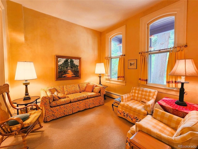 808 Rose St, Georgetown, CO 80444 - living area featuring a baseboard radiator and carpet flooring