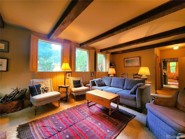 808 Rose St, Georgetown, CO 80444 - carpeted living area featuring healthy amount of natural light and beamed ceiling