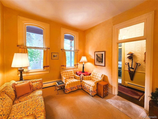 808 Rose St, Georgetown, CO 80444 - carpeted living area featuring baseboard heating