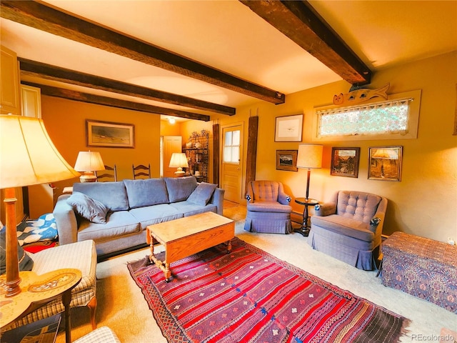 808 Rose St, Georgetown, CO 80444 - carpeted living room with beam ceiling