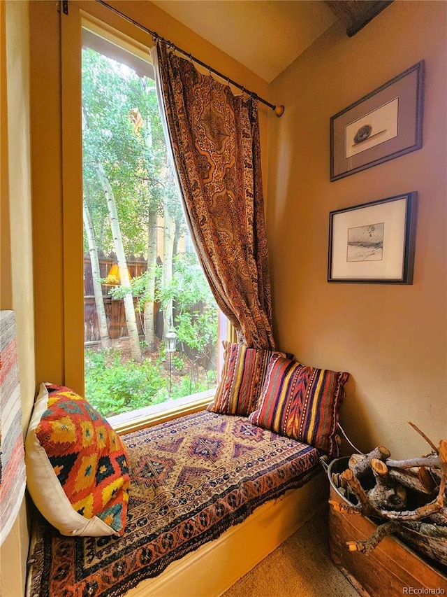 808 Rose St, Georgetown, CO 80444 - view of sitting room