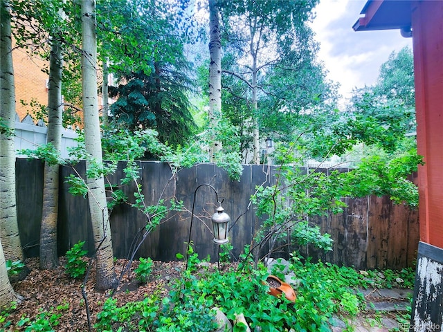 808 Rose St, Georgetown, CO 80444 - view of fenced backyard