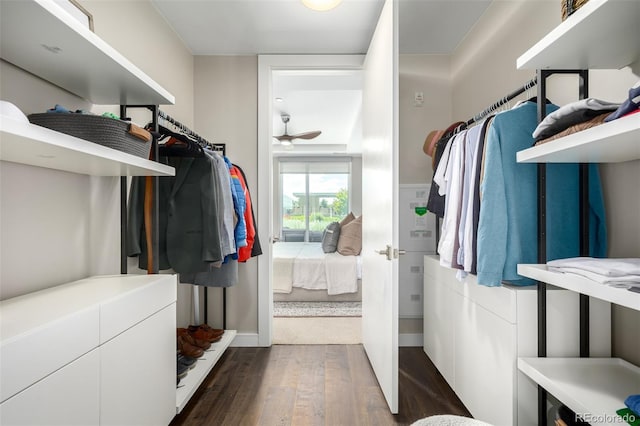 4200 W 17th Ave Unit 212, Denver, CO 80204 - walk in closet featuring dark wood-style flooring and ceiling fan