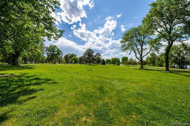 4200 W 17th Ave Unit 212, Denver, CO 80204 - view of grassy yard