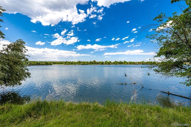 4200 W 17th Ave Unit 212, Denver, CO 80204 - water view