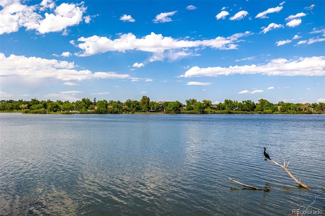 4200 W 17th Ave Unit 212, Denver, CO 80204 - water view