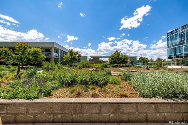 4200 W 17th Ave Unit 212, Denver, CO 80204 - view of home's community