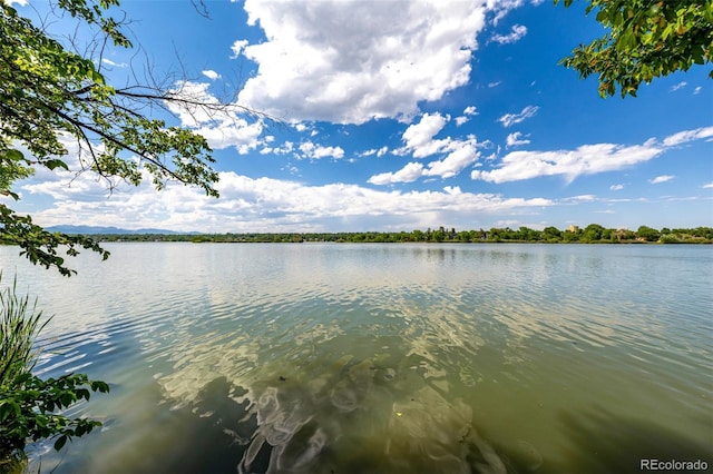 4200 W 17th Ave Unit 212, Denver, CO 80204 - water view